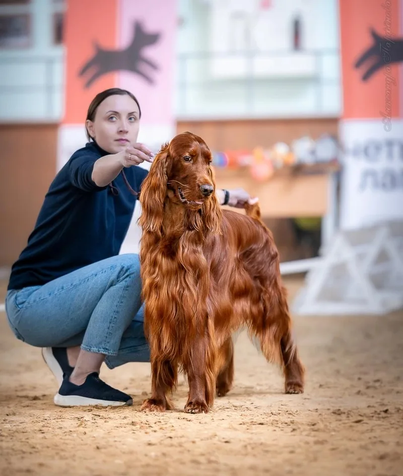 Андрей, фотография