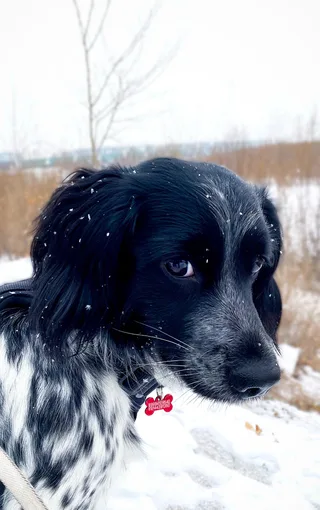 Джим, фотография