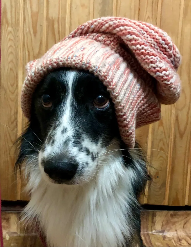 Ирина, фотография