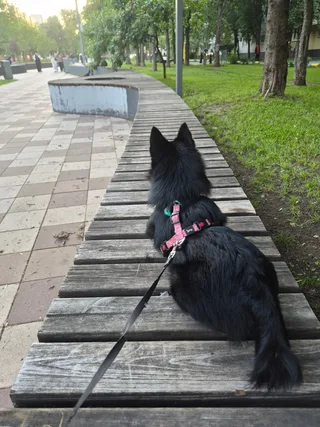 Даня, фотография