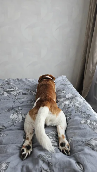 Бумер, фотография