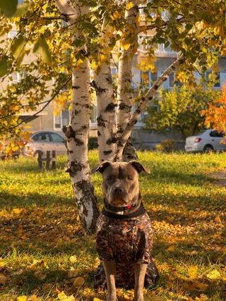 Рич, фотография