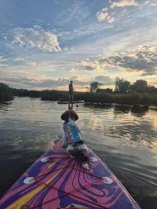 Груша, фотография