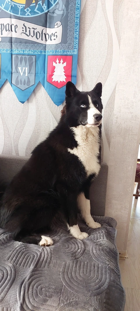 Елисей, фотография