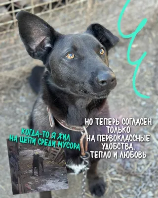 Гриша, фотография