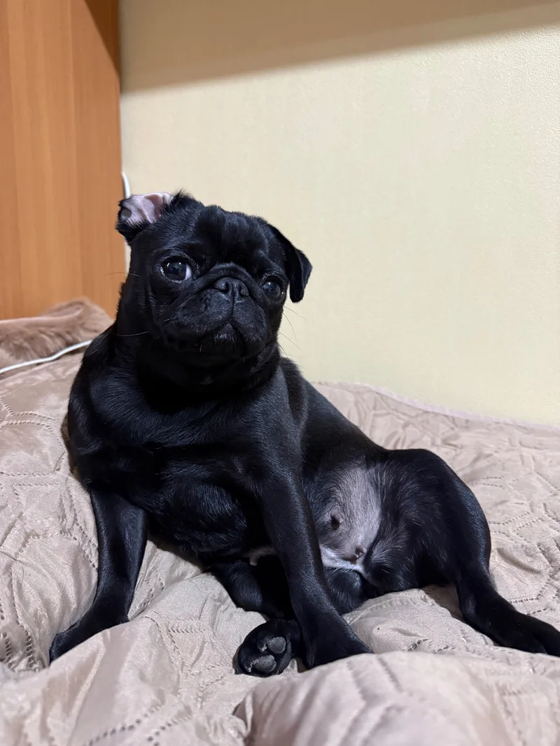 Эмилия, фотография