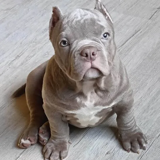 Сергей, фотография