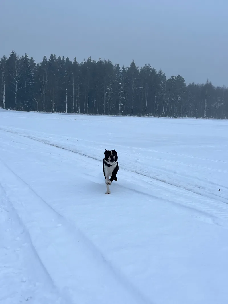 Василий, фотография