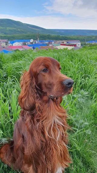 Персей, фотография
