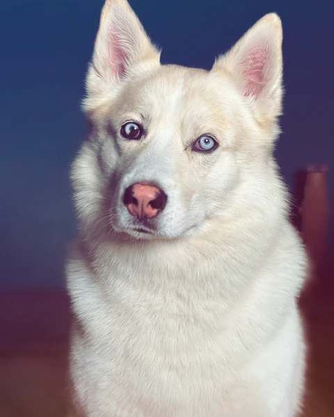 Рич, фотография