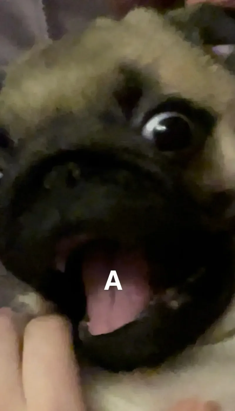 Орун