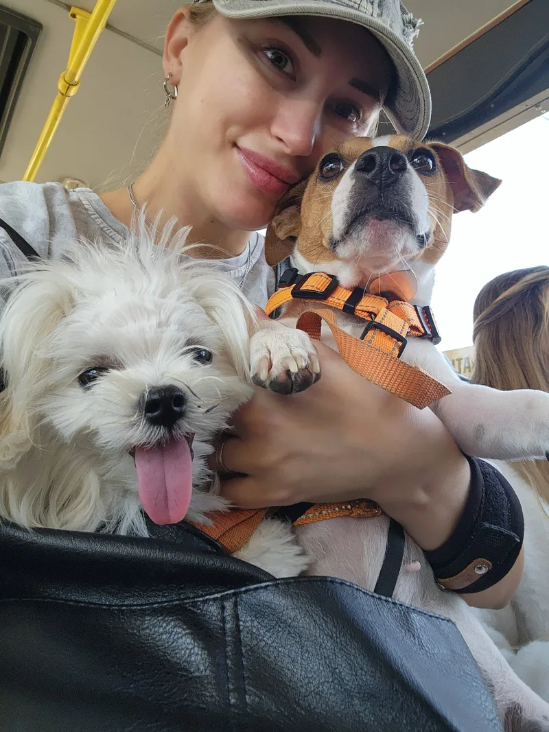 Виктория, Джесси и Зефир🐶🐩❤️, фотография