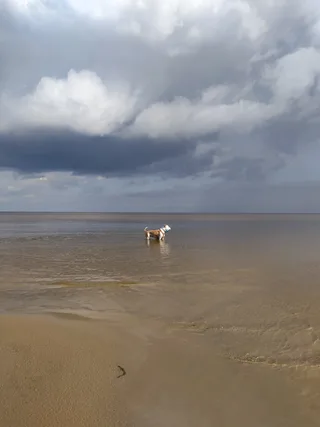 Харли, фотография