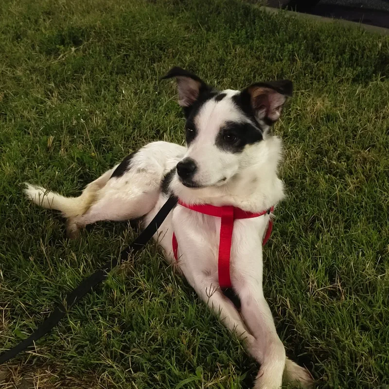 Екатерина, фотография