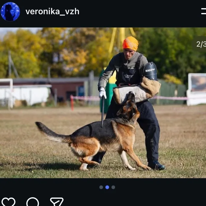 Вероника, фотография