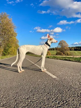 Кирилл, фотография