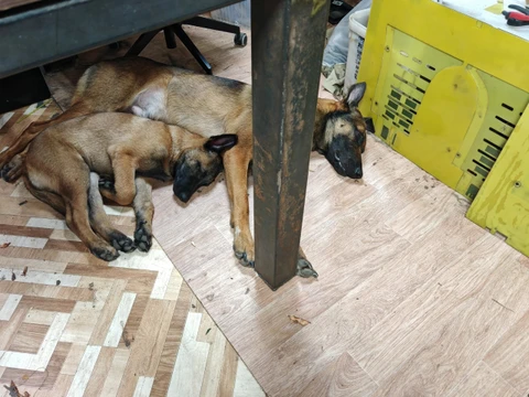Скрэп, фотография