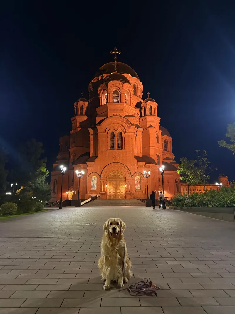 Снежана, фотография