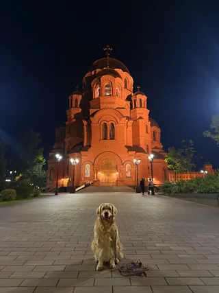 Бруно, фотография