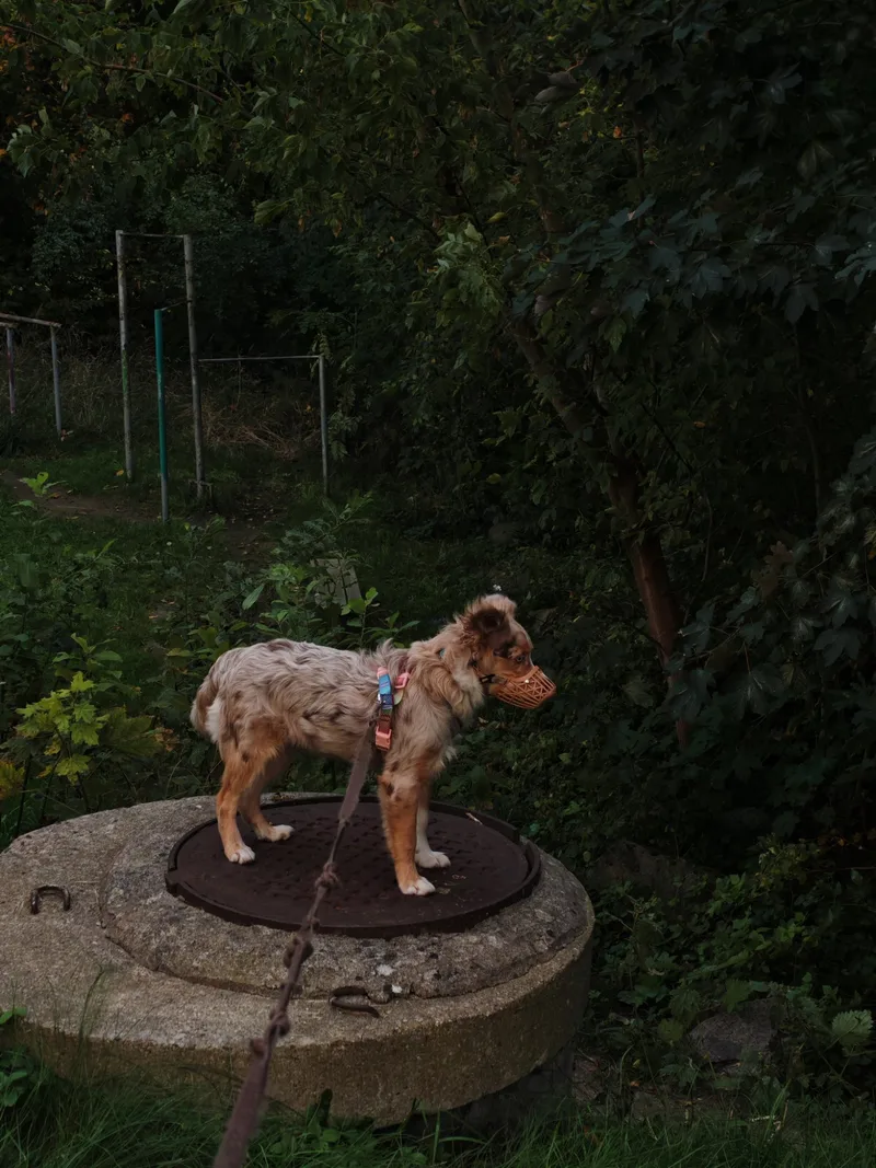 Владислав, фотография