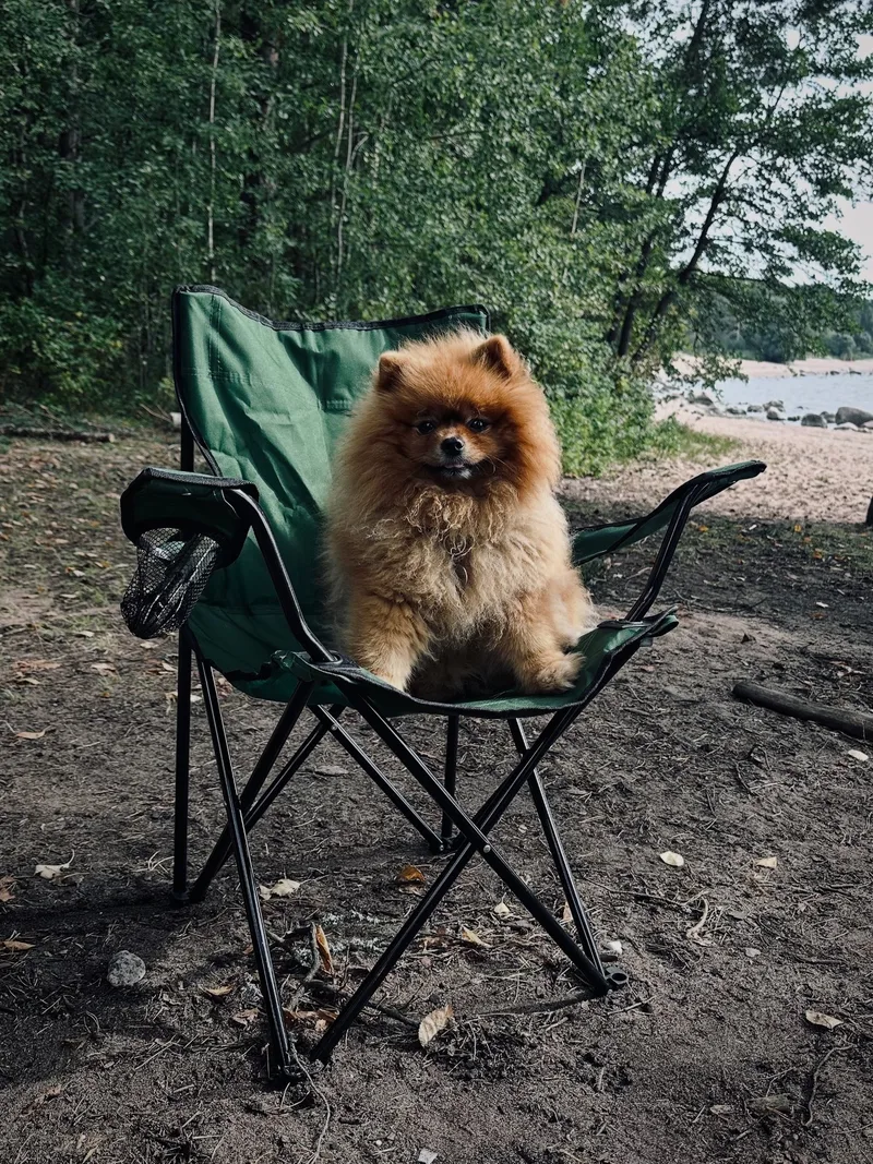 Динеш, фотография