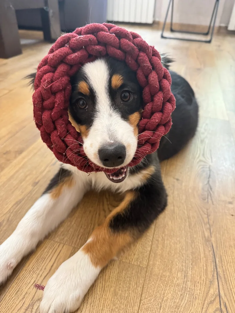 Марго, фотография