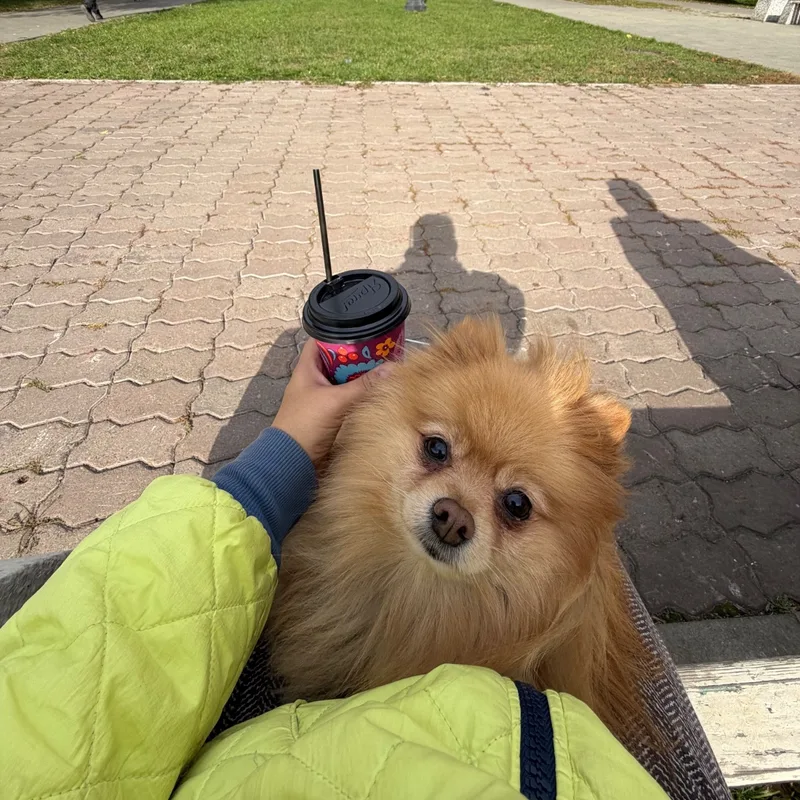 Юлия, фотография