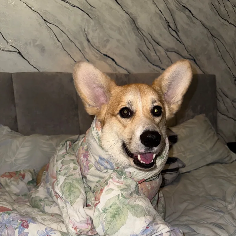Полина, фотография