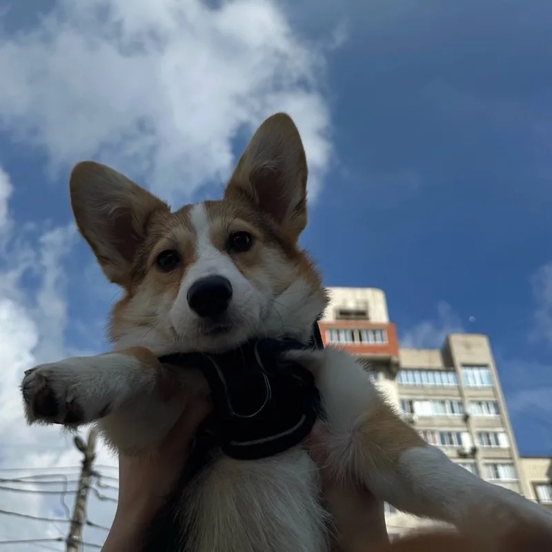 Татьяна, фотография
