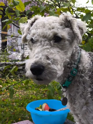 Мартин, фотография