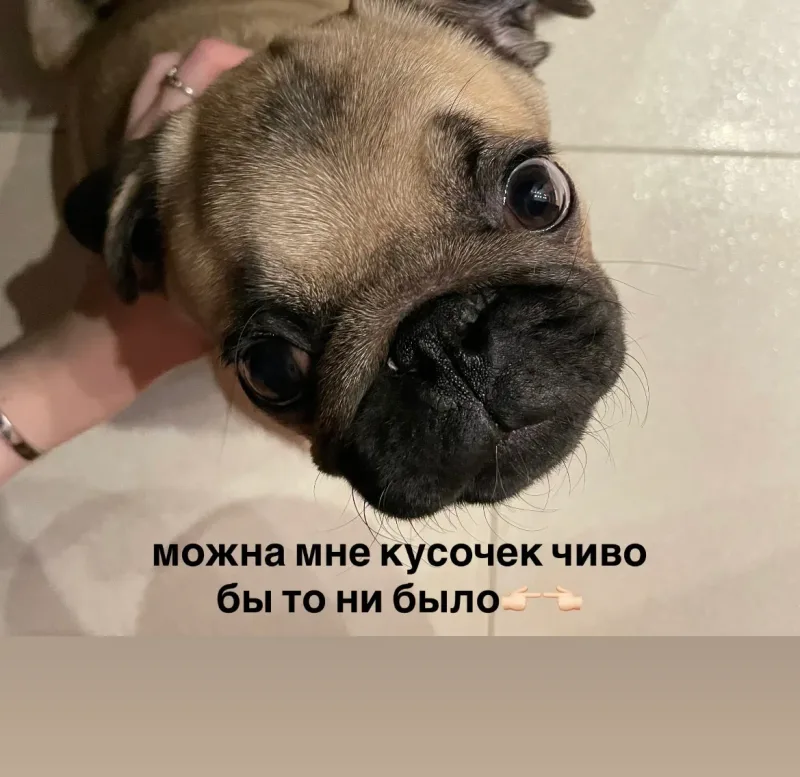 Голодный