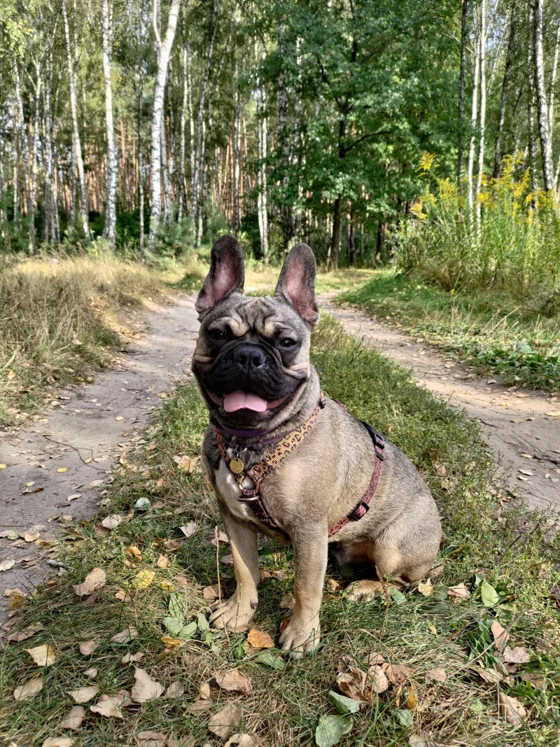 Жанна, фотография