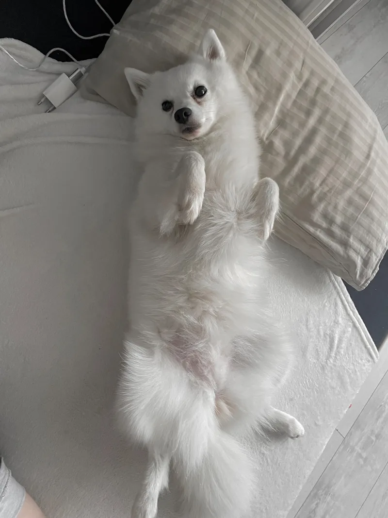 Карина, фотография