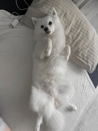 Сейвер, фотография