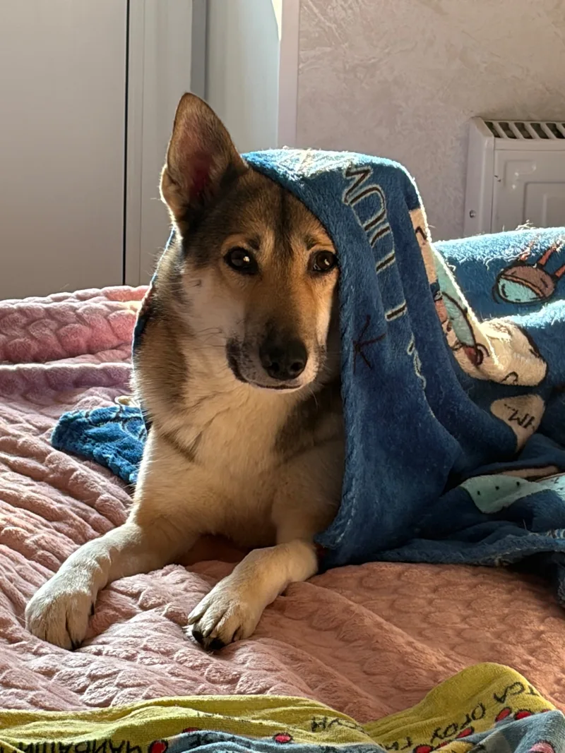 Евгения, фотография