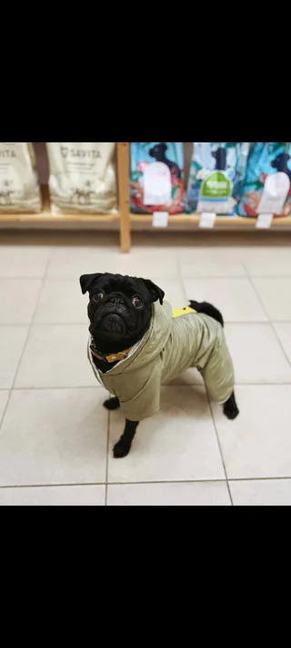 Леонид, фотография