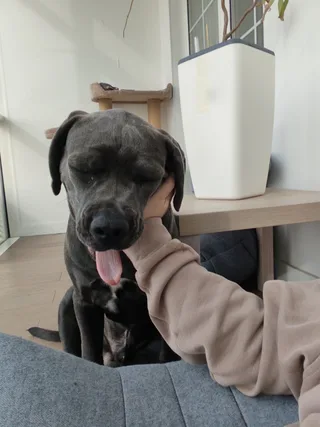 Бьёрн, фотография