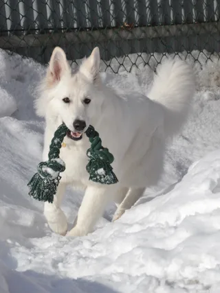 Лотта, фотография