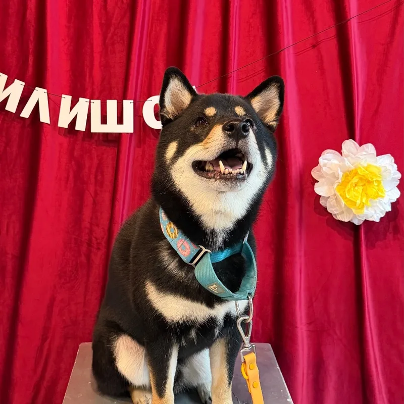 Юлия, фотография