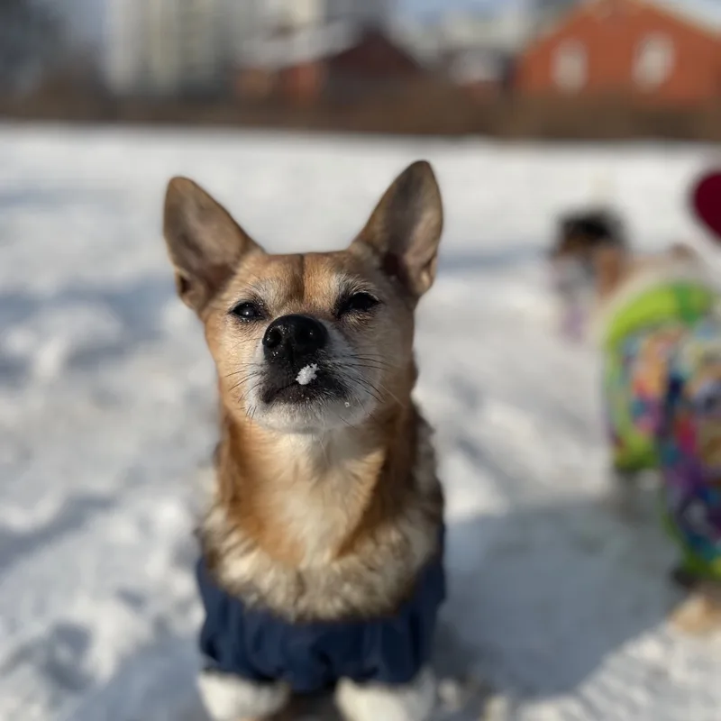 Мария, фотография