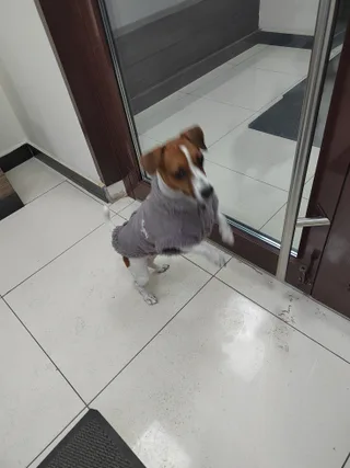 Дина, фотография
