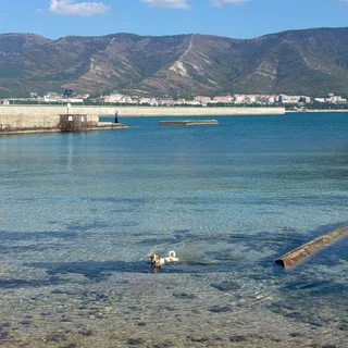 Гарри, фотография