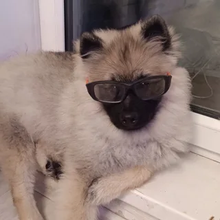 Майк, фотография