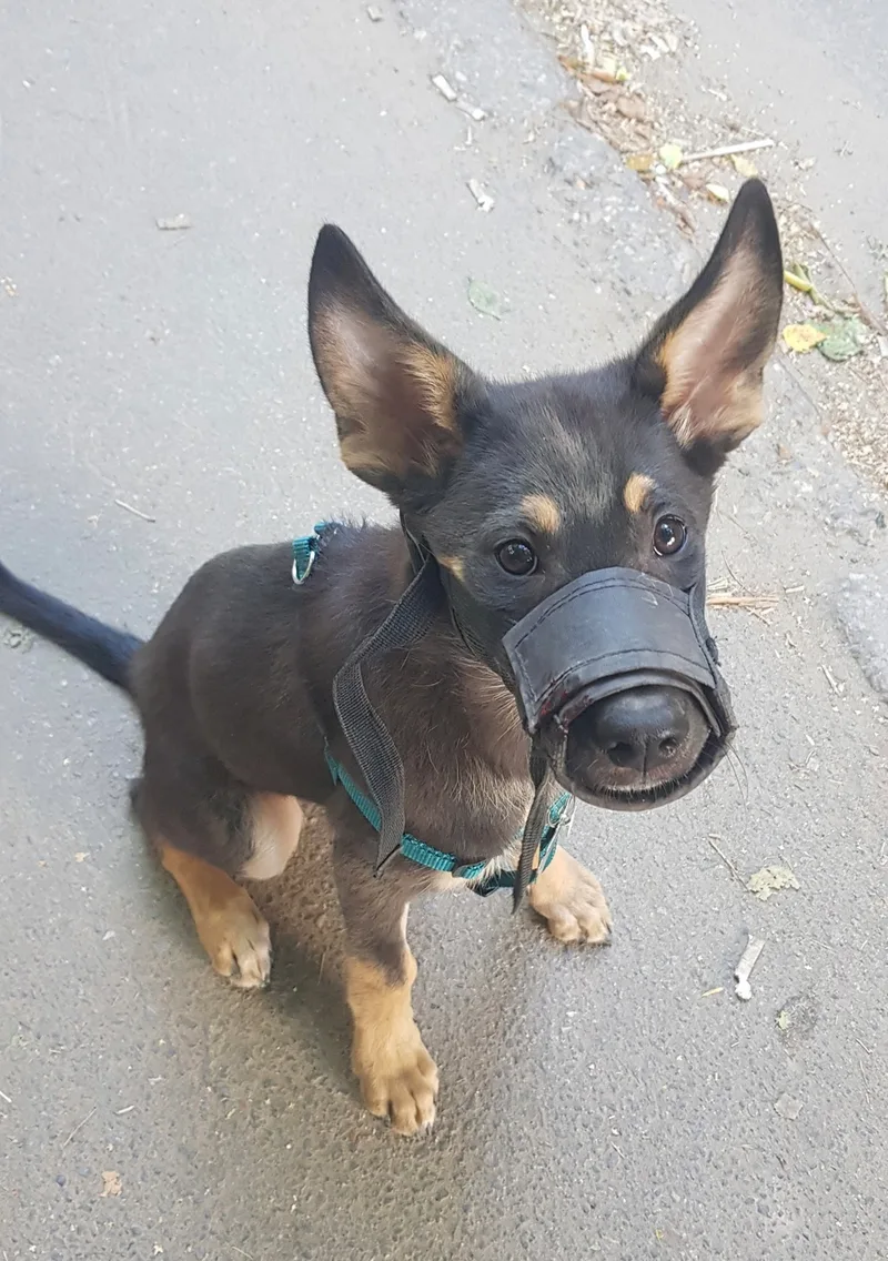 Юлия, фотография