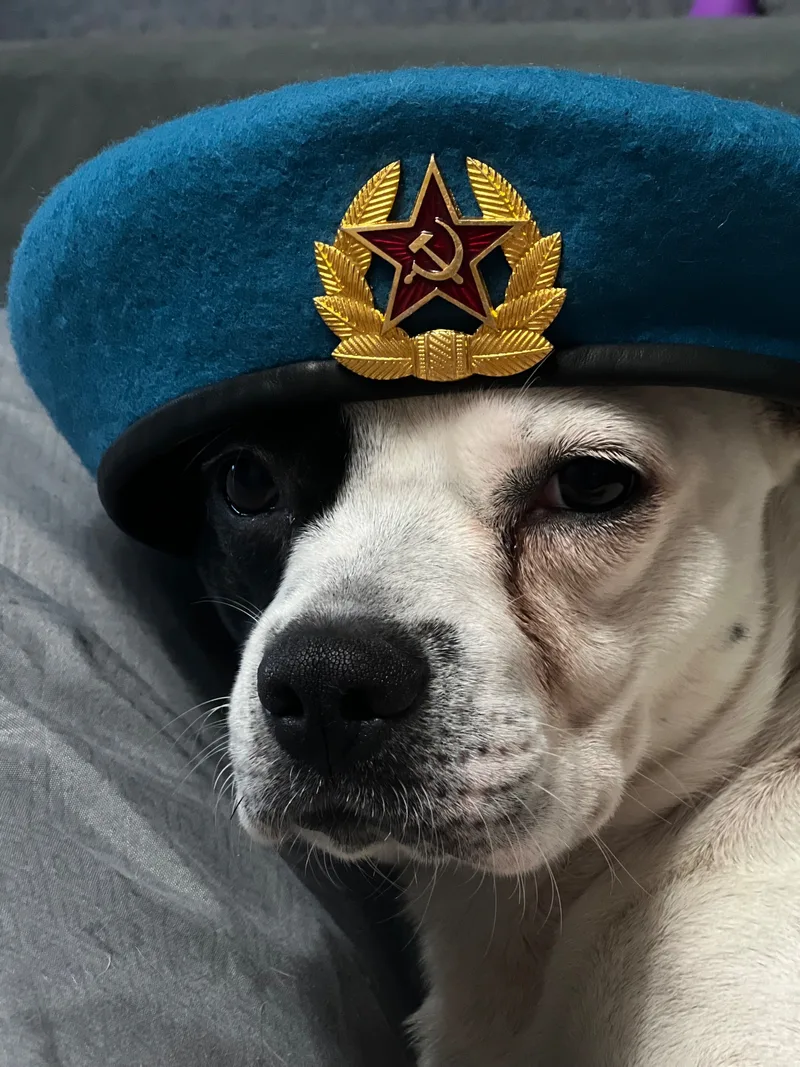 Анастасия, фотография