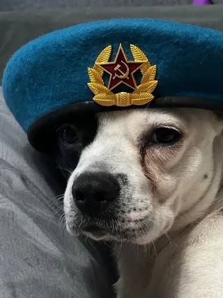 Rocky, фотография