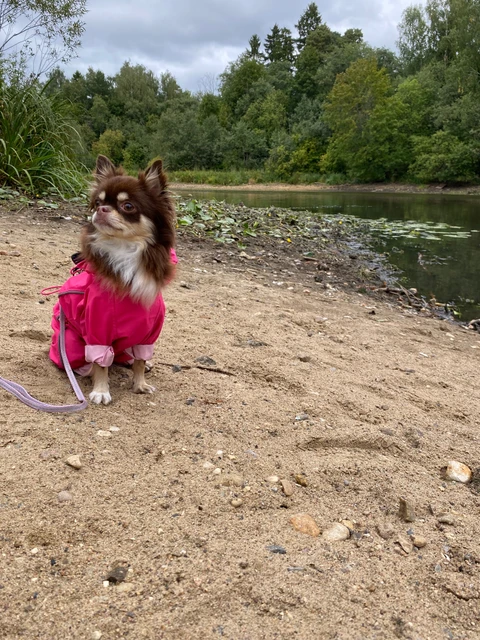 Миша🐻, фотография