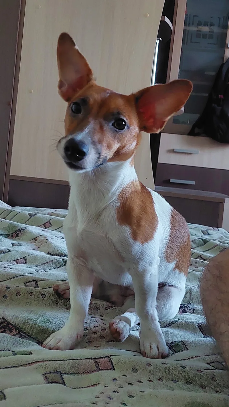 Сергей, фотография