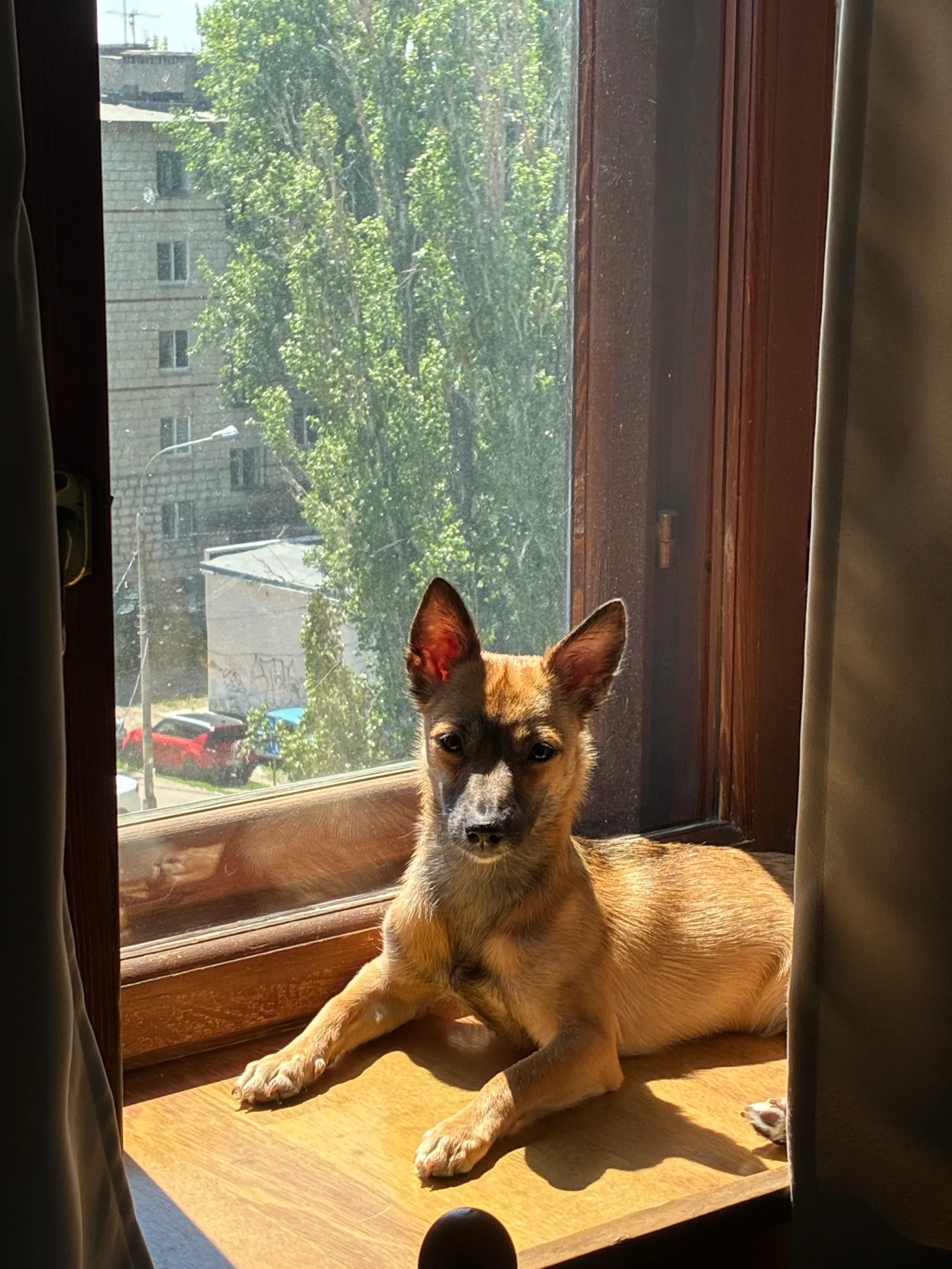 Солнечные ванны