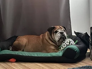 Люк, фотография